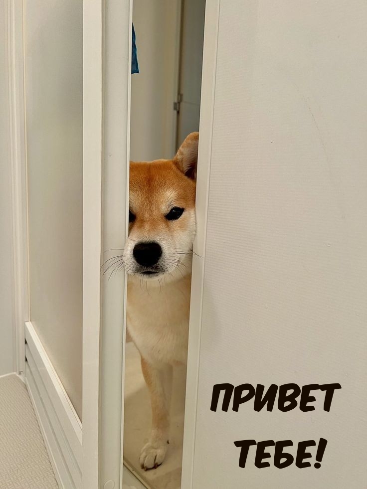 ������ ����!