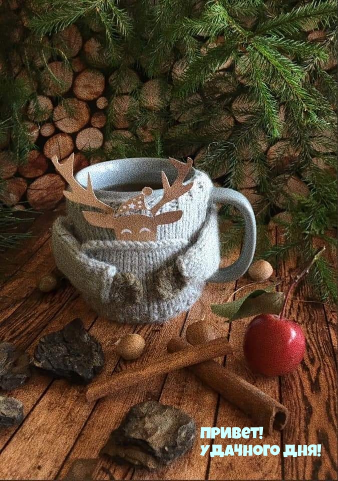 ������! �������� ���!