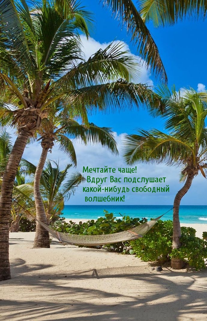 Мечтайте чаще!