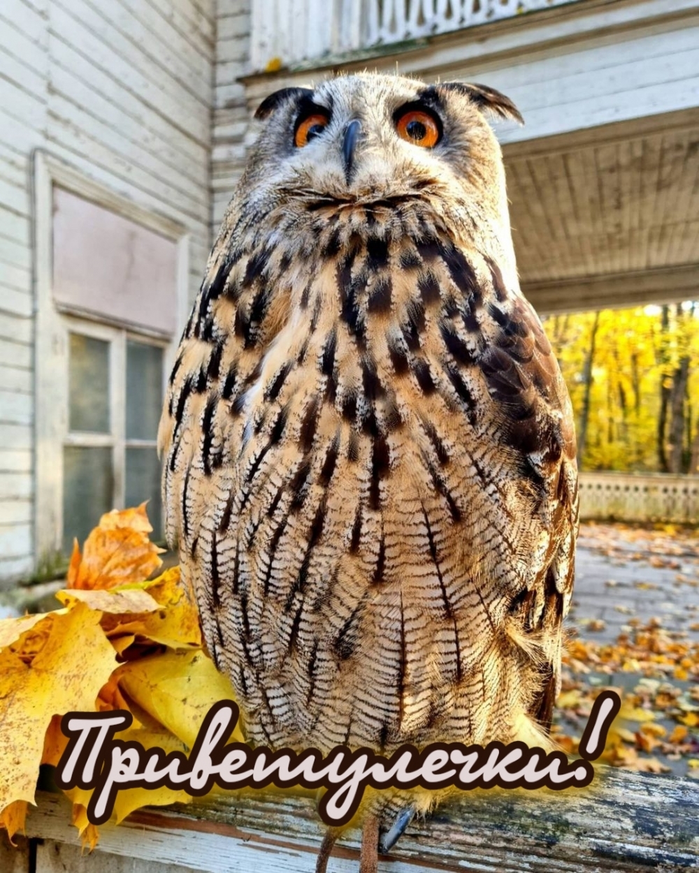 ������������!