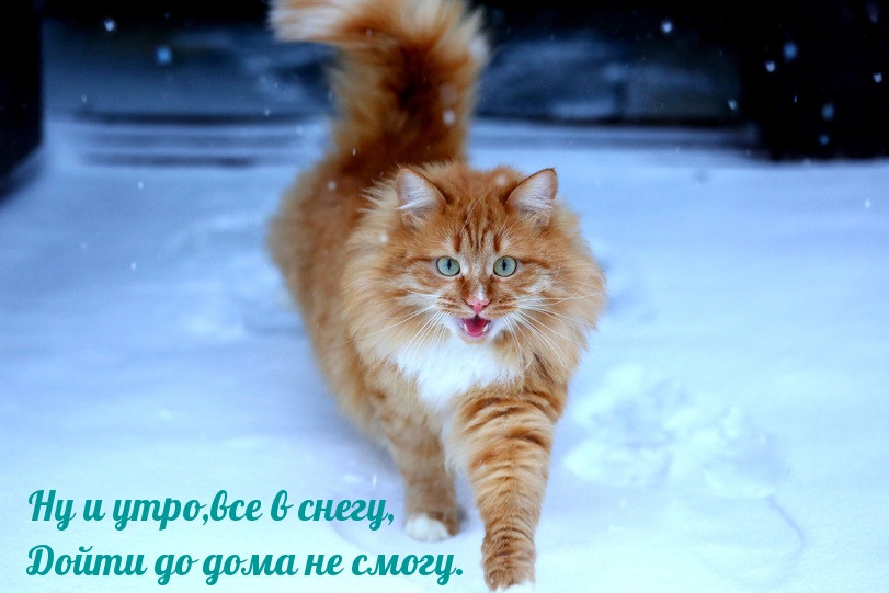 �� � ����,��� � �����, ����� �� ���� �� �����..