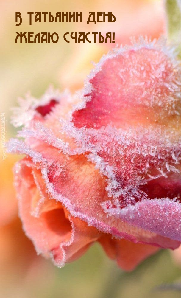 � �������� ���� ����� �������!