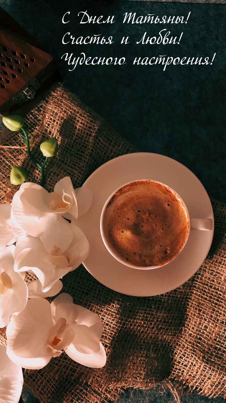 � ���� �������! ������� � �����! ��������� ����������!