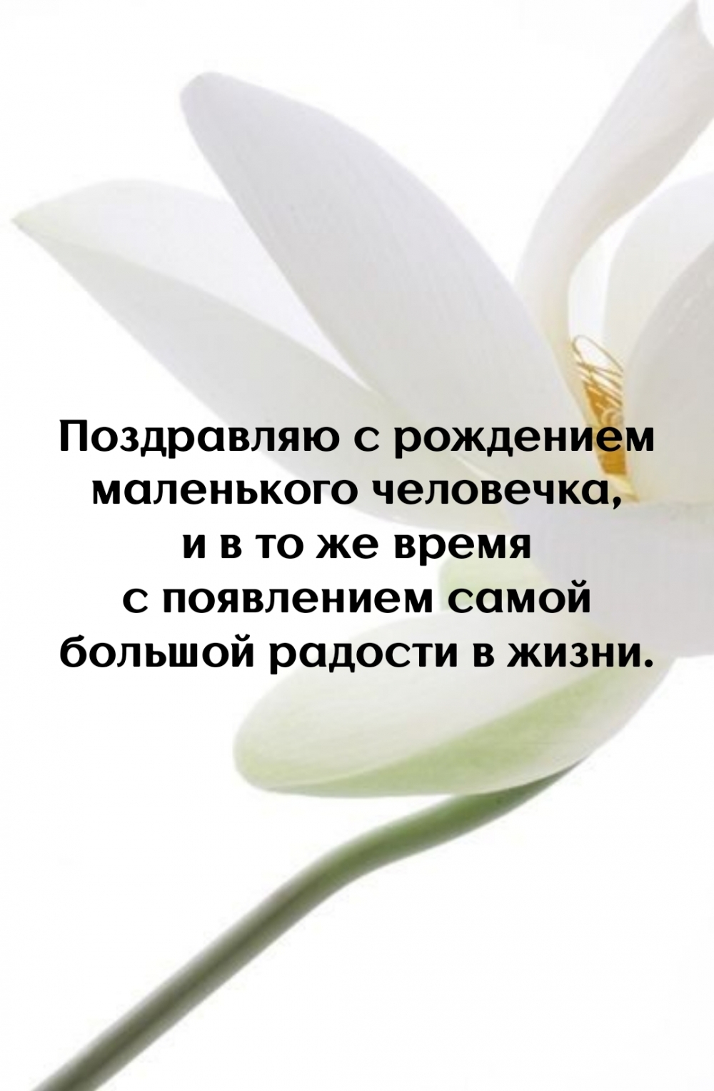 ���������� ���������� ���������� ���������