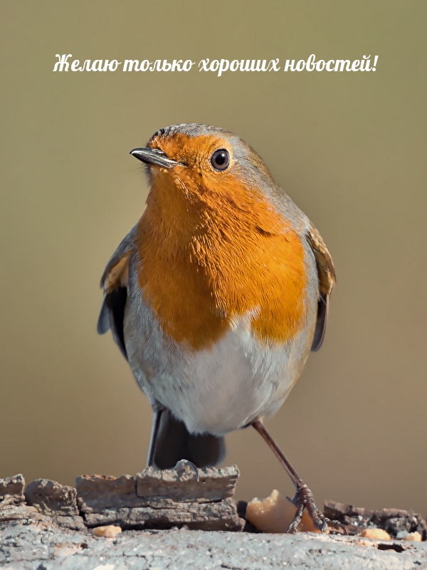 ����� ������ ������� ��������!.