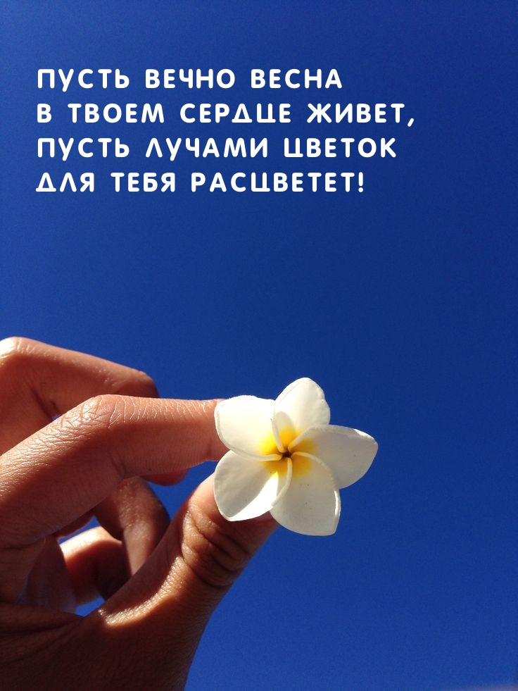 Пусть вечно весна в твоем сердце живет
