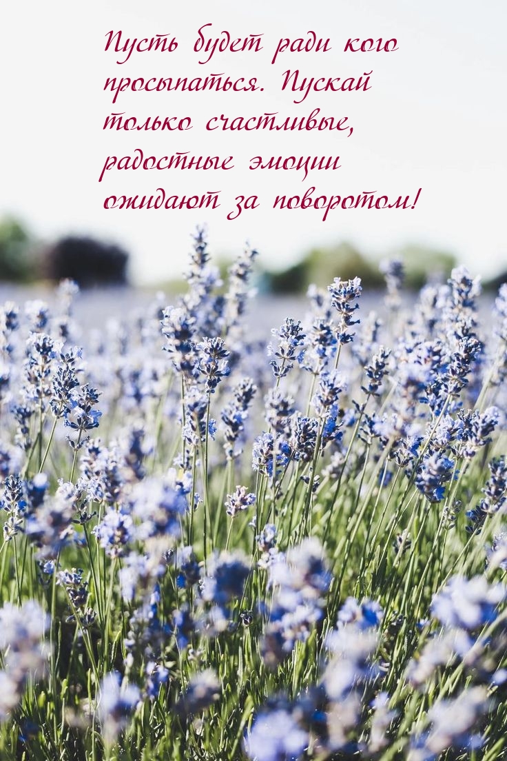 ����� ����� ���� ���� �����������.