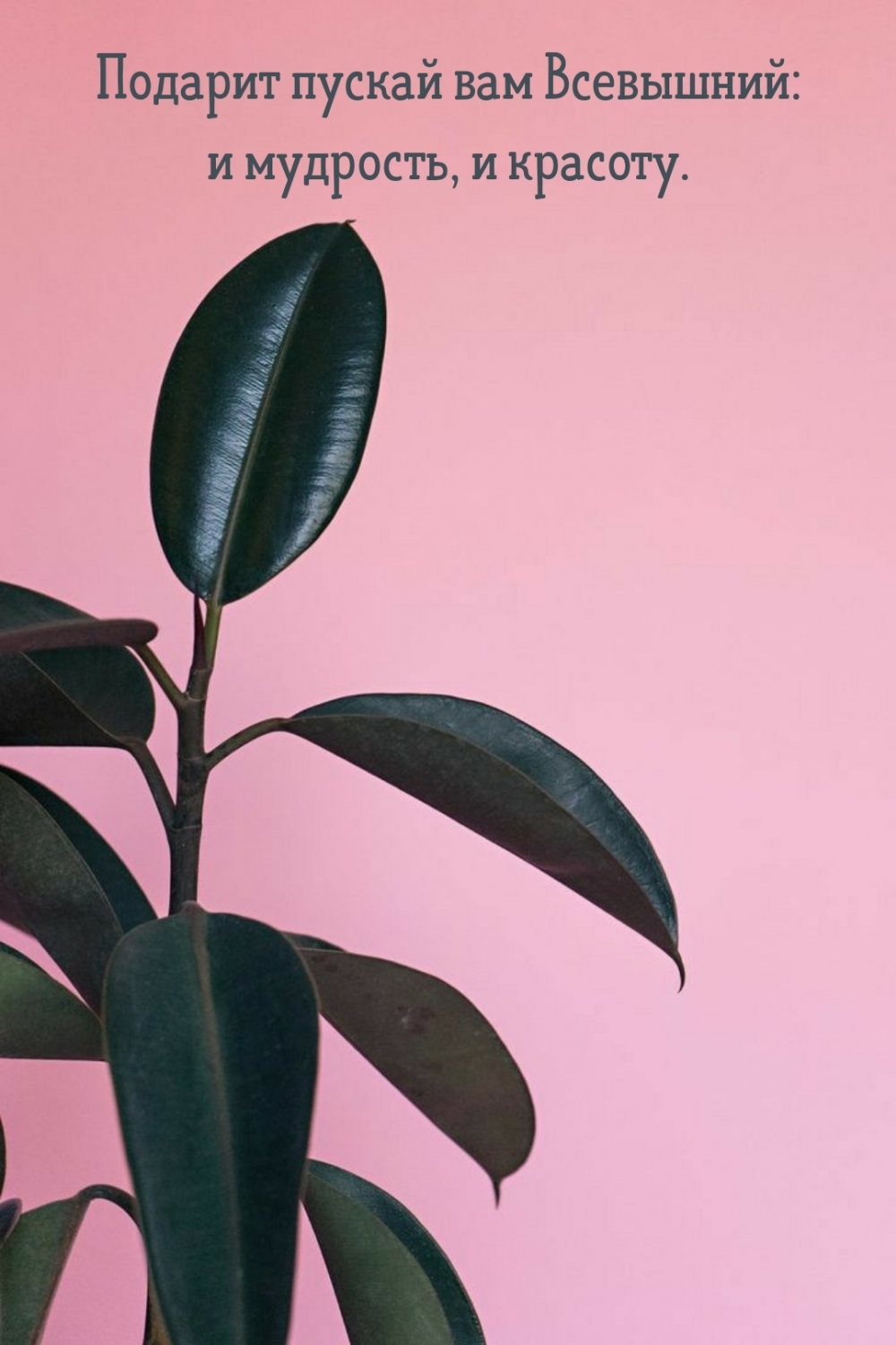 ������� ������ ��� ���������: � ��������, � �������.