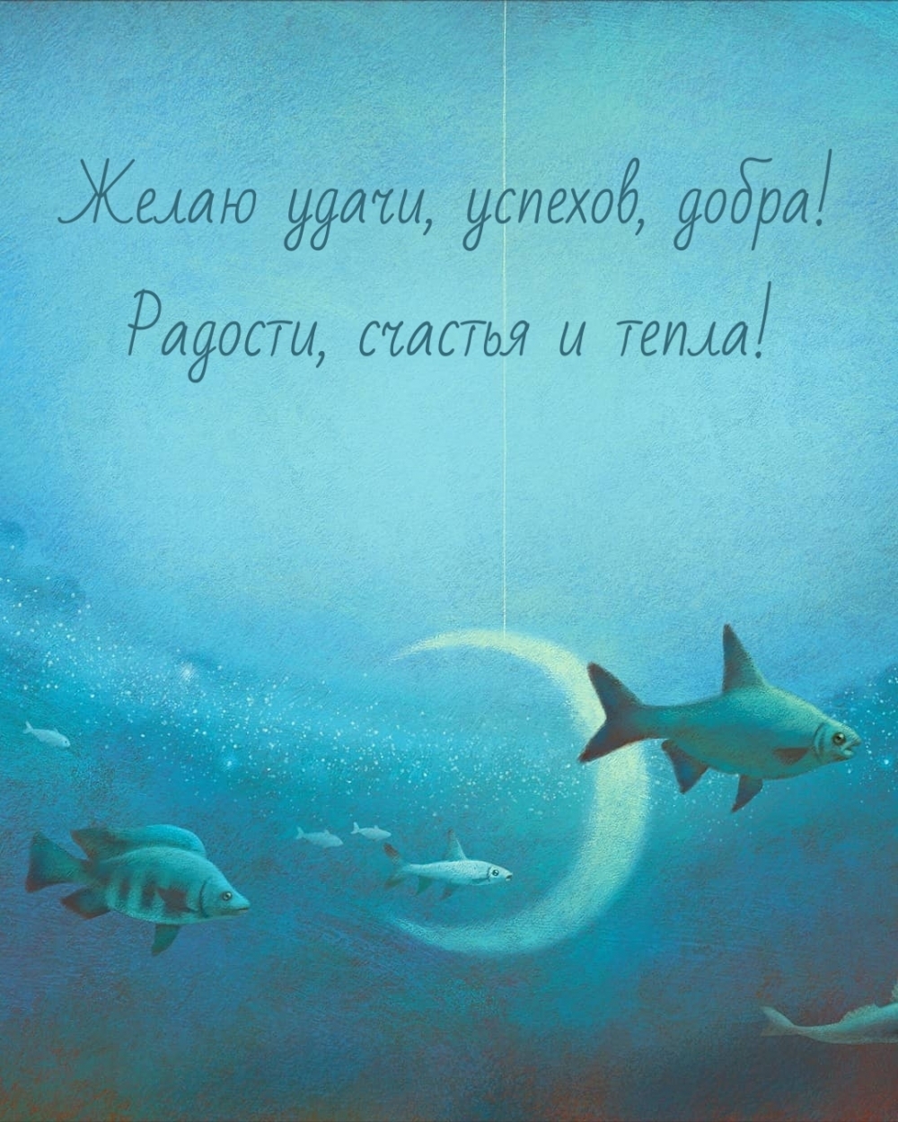  , , ! ,   !.
