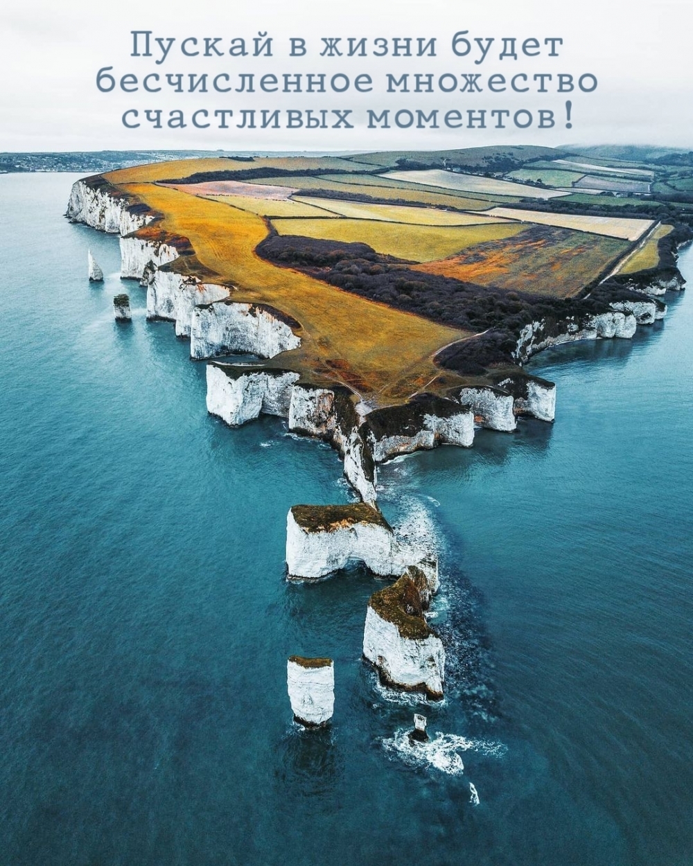 ������ � ����� ����� ������������ ��������� ���������� ��������!