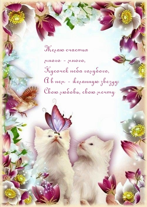 ����� ������� ����� - �����, ������� ���� ��������