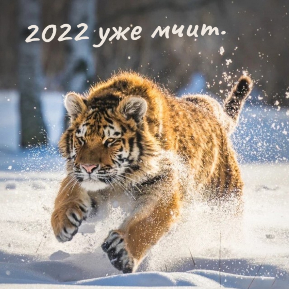 2022 ��� ����..