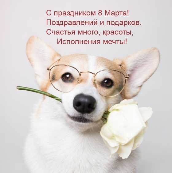 � ���������� 8 �����! ������������ � ��������.
