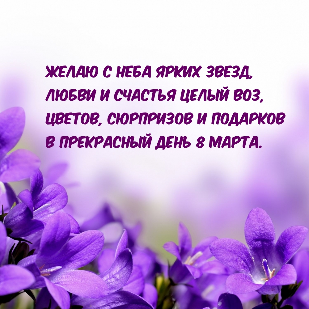 ������, ��������� � �������� � ���������� ���� 8 �����.