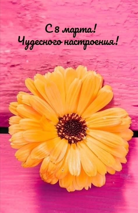 С 8 марта! Чудесного настроения!