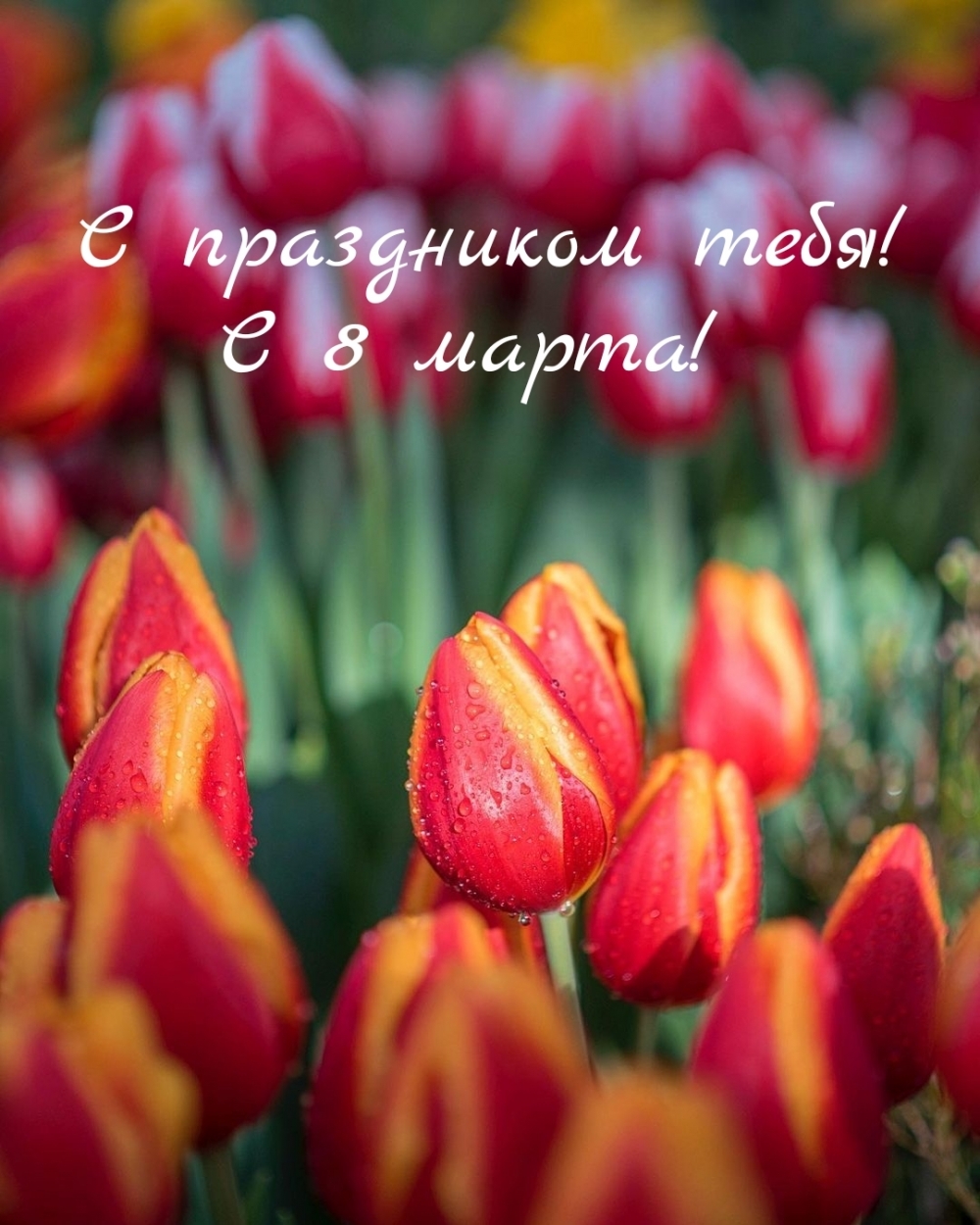 � ���������� ����! � 8 �����!