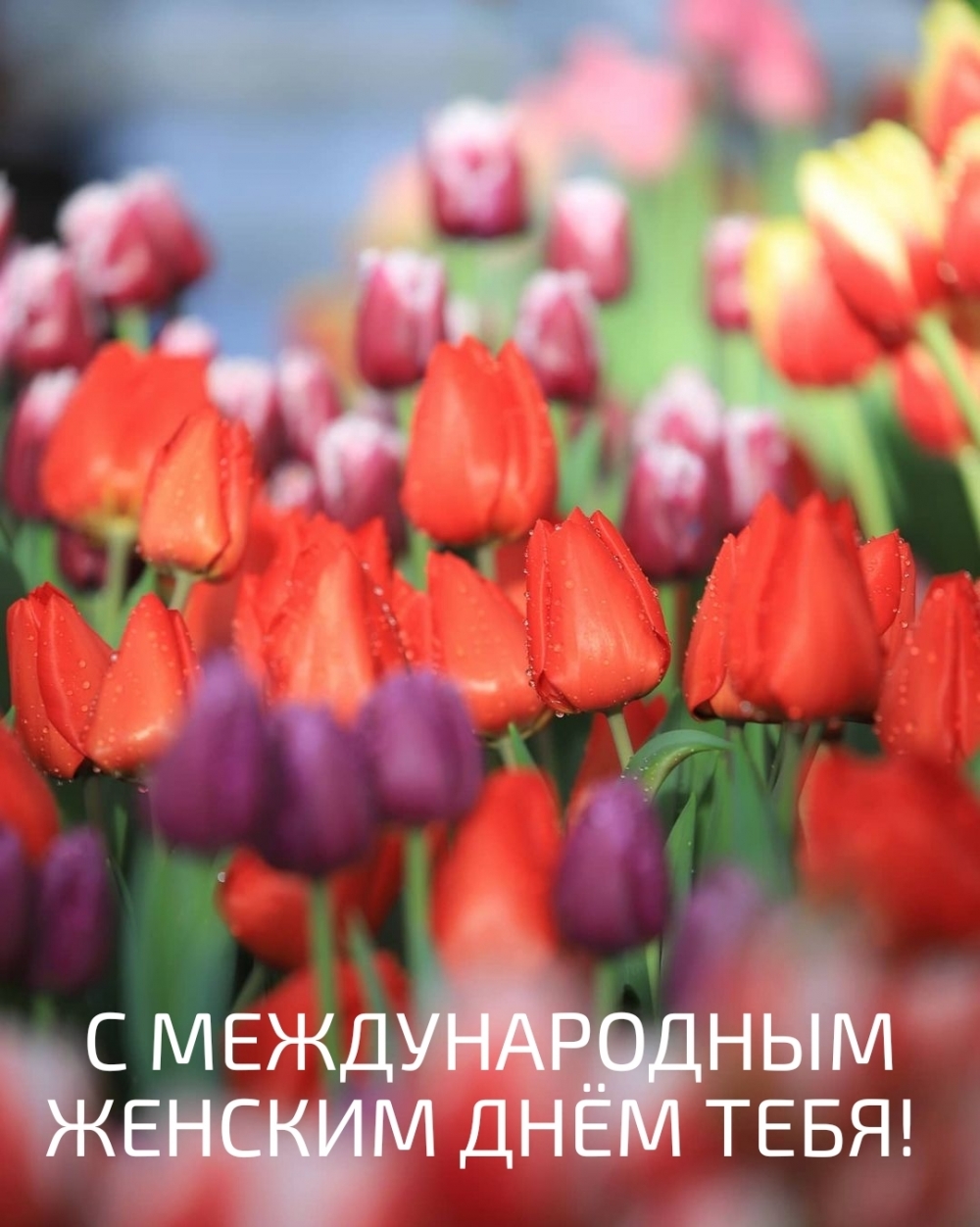 � ������������� ������� �ͨ� ����!.