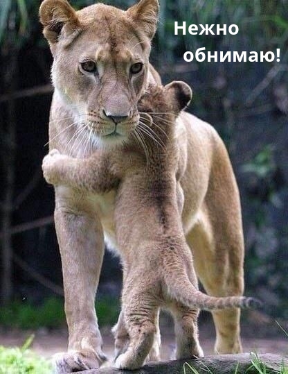 ����� �������!.