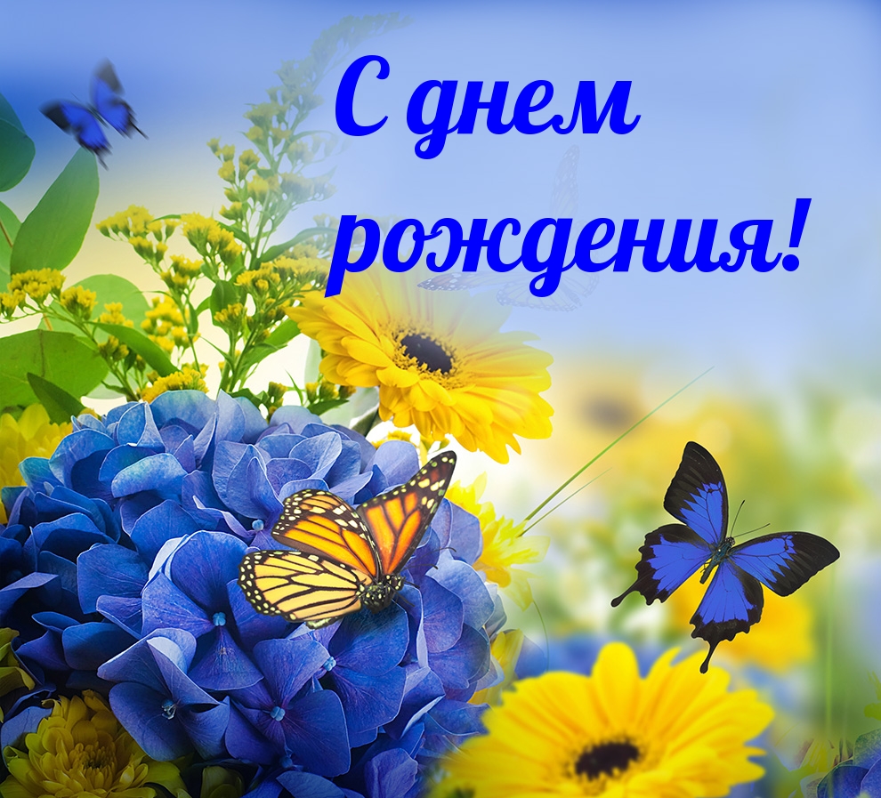 � ���� ��������!