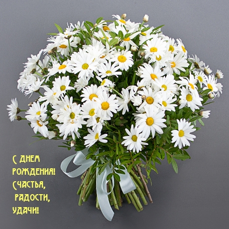 � ���� ��������! �������, �������, �����!