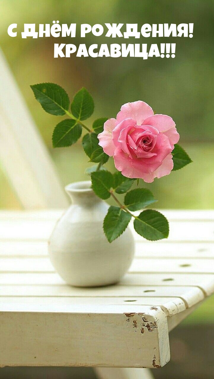 � ���� ��������! ���������!