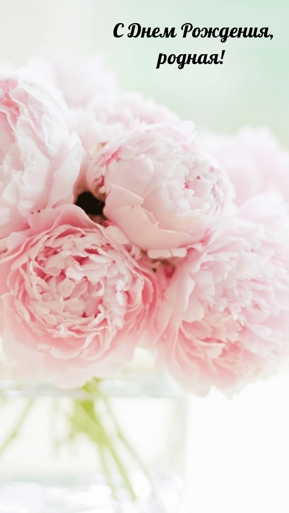 � ���� ��������, ������!