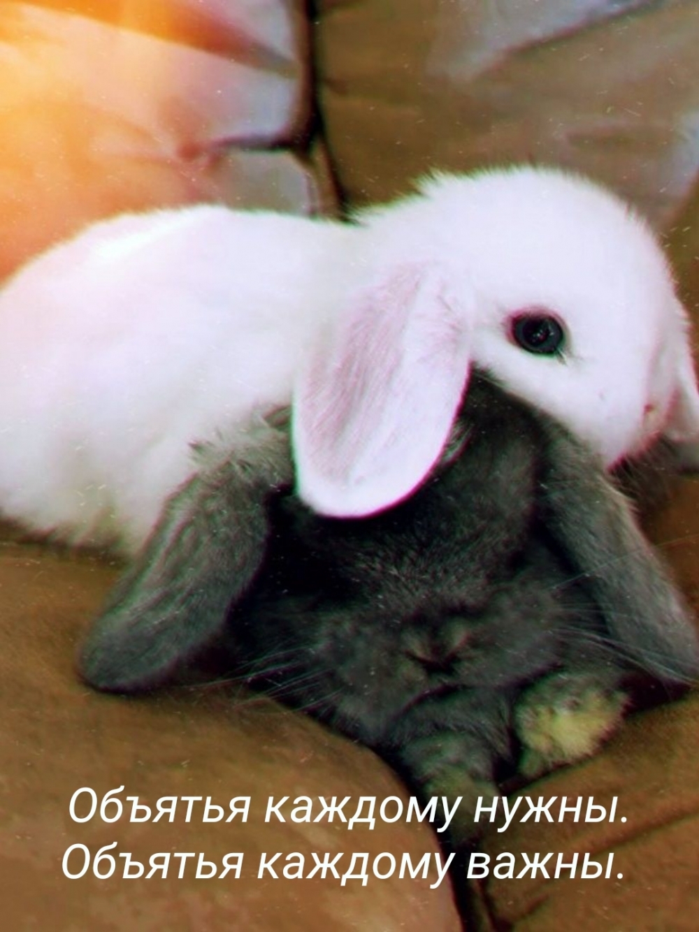 Объятья каждому нужны. Объятья каждому важны.