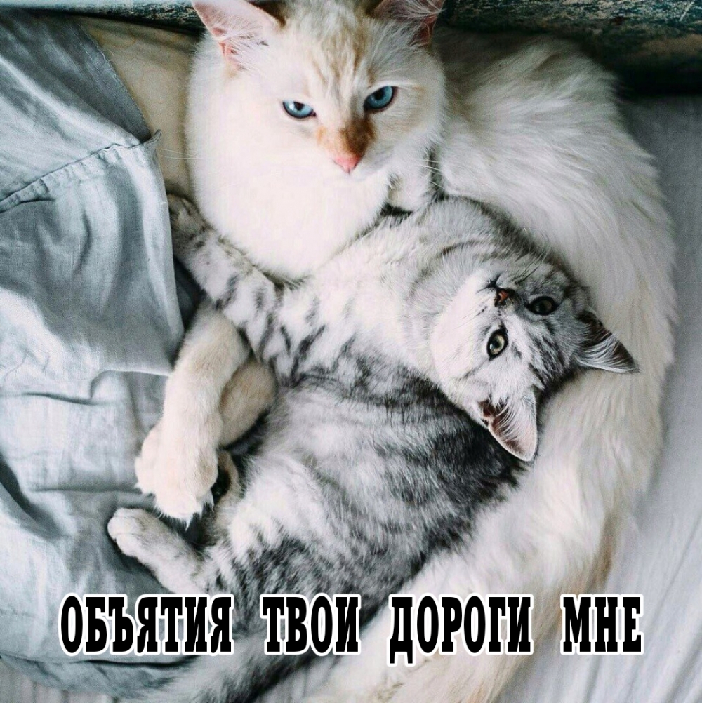 ������� ���� ������ ���.