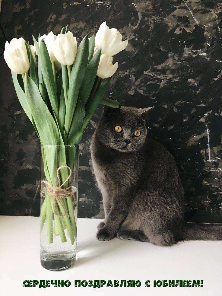 �������� ���������� � �������!.