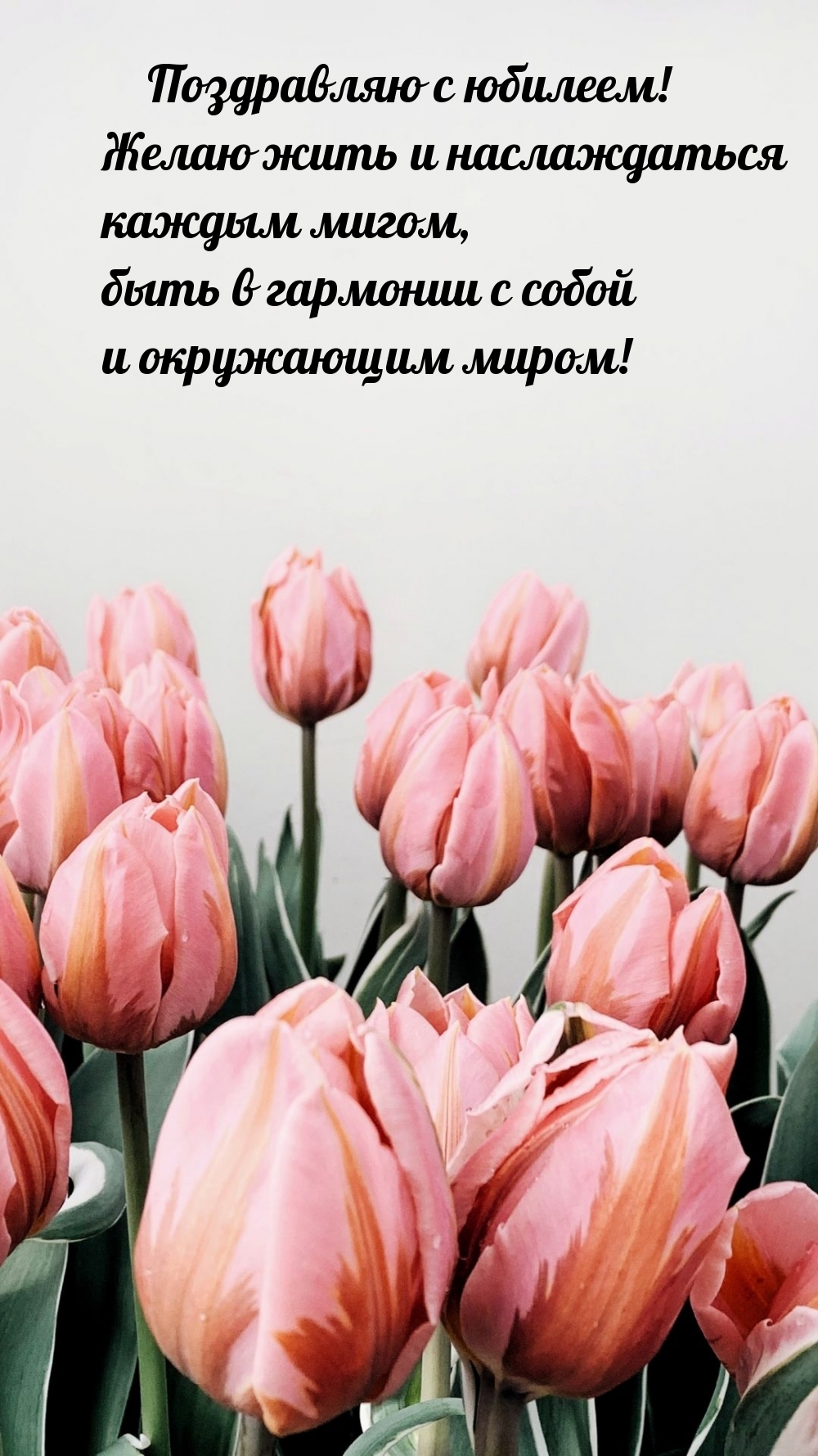 ���������� � �������! ����� ���� � ������������ ������ �����.