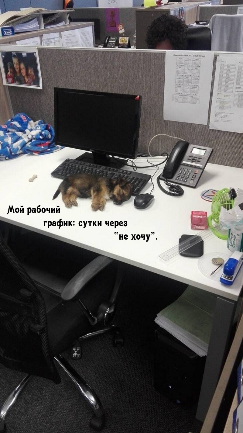 ��� ������� ������: ����� ����� ��� ����..