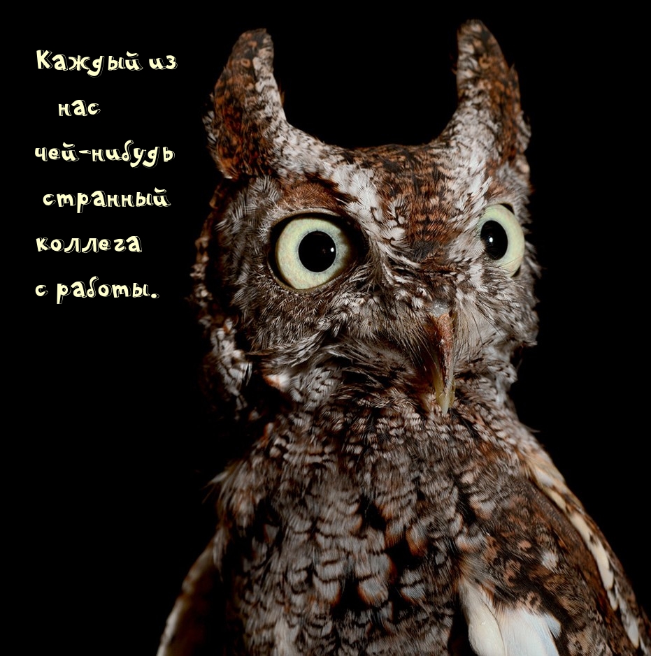 ������ �� ��� ���-������ �������� ������� � ������..