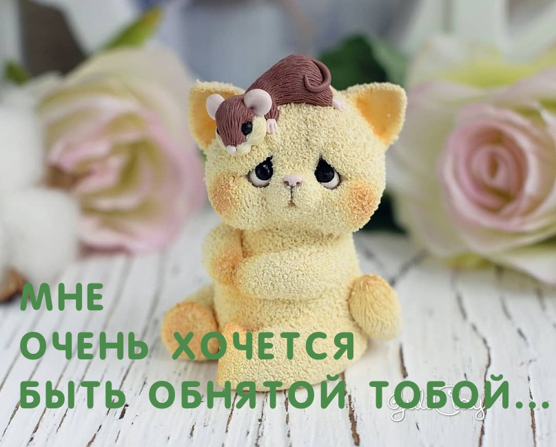 ��� ����� ������� ���� ������� �����...