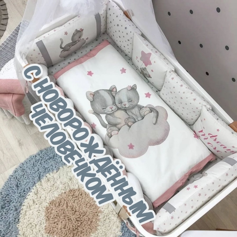 � ������������ ����������