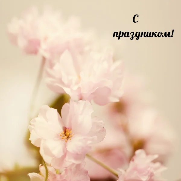 � ����������!.