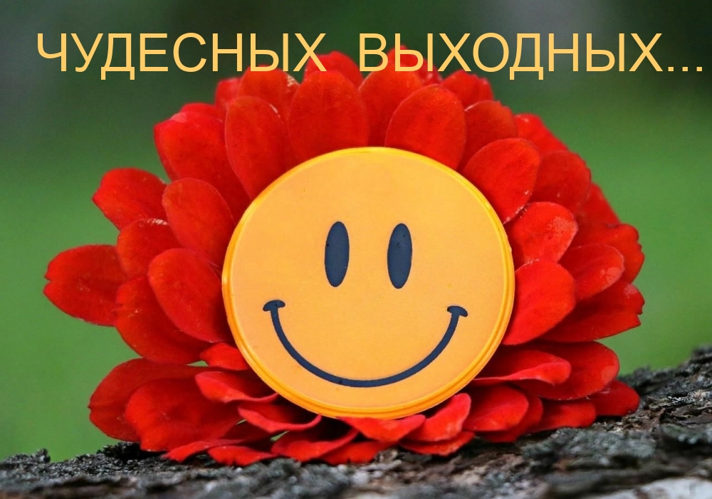 �������� ��������...