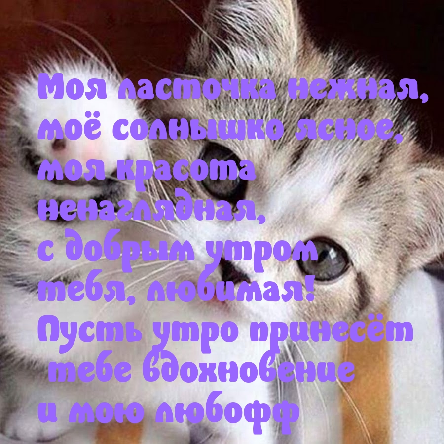 � ������ �����, �������! ����� ���� ������� ���� ����������� 