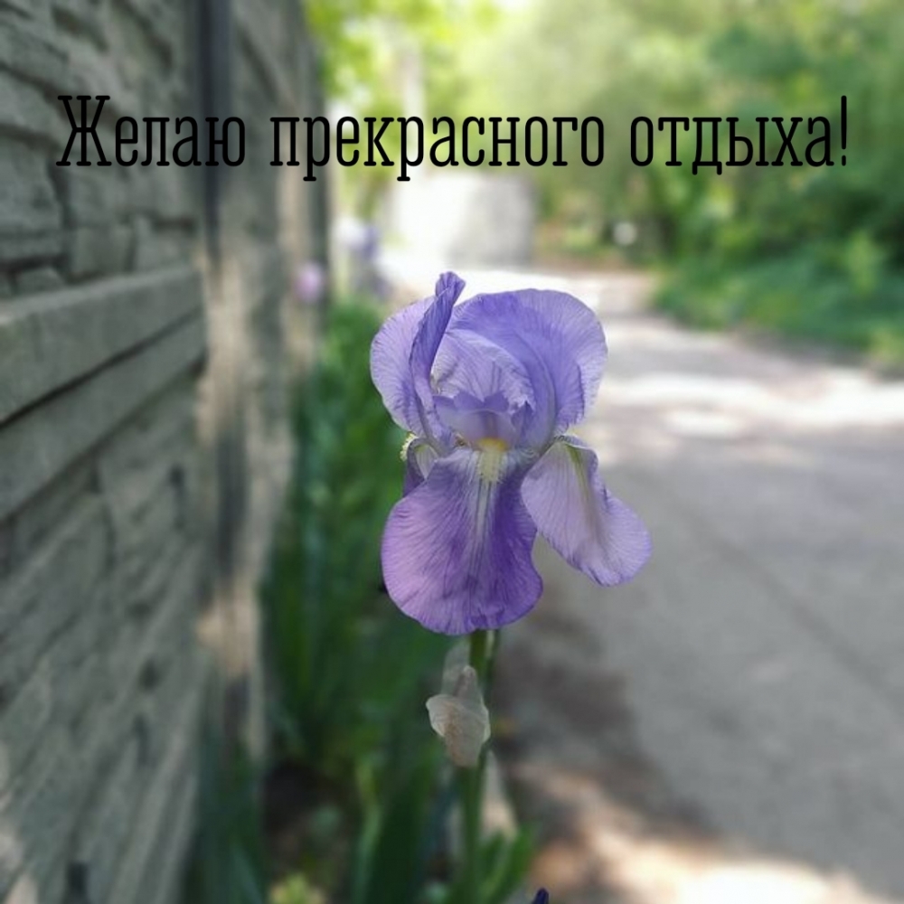 ����� ����������� ������!