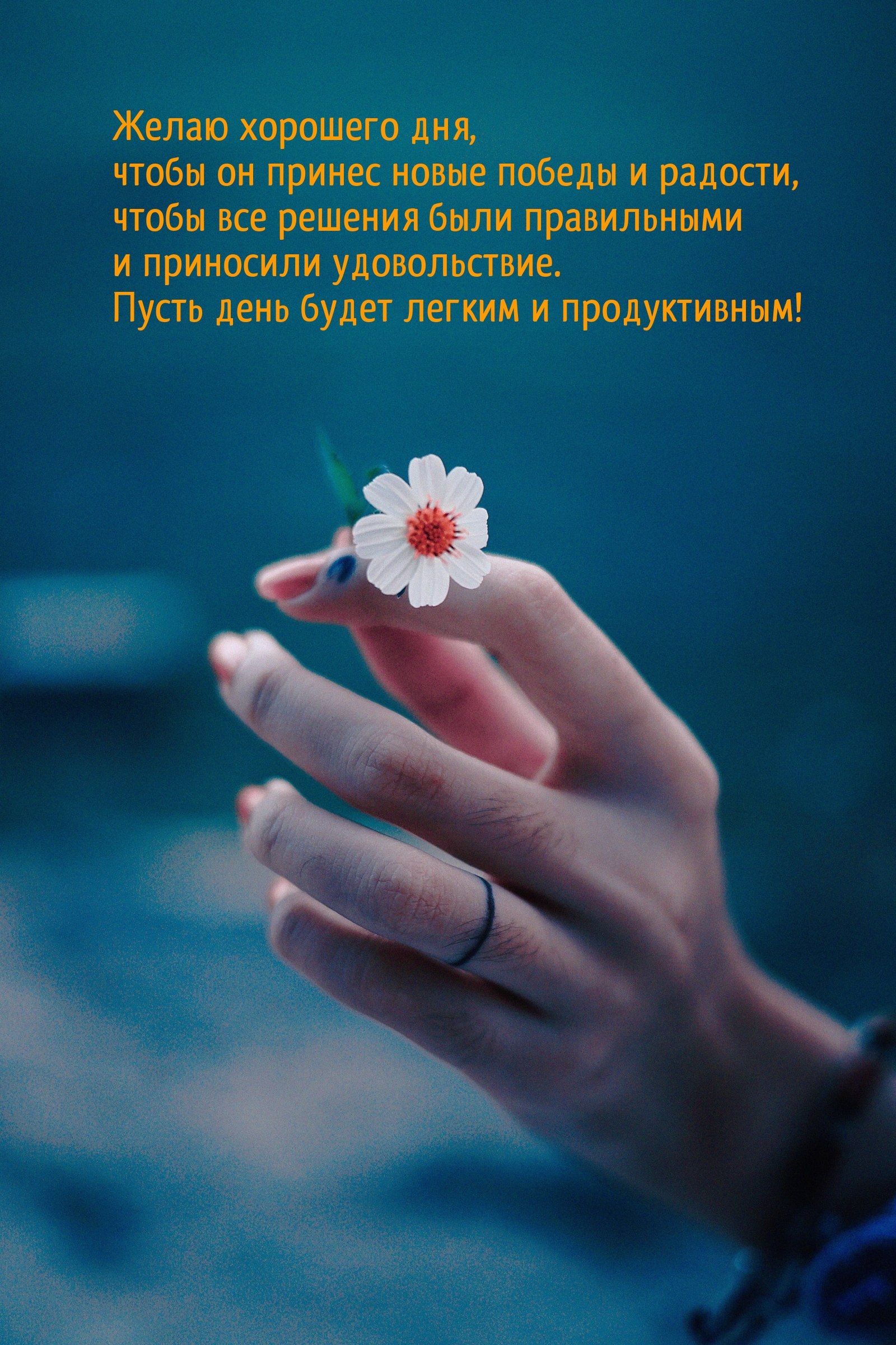 Желаю хорошего дня, чтобы он принес новые победы и радости