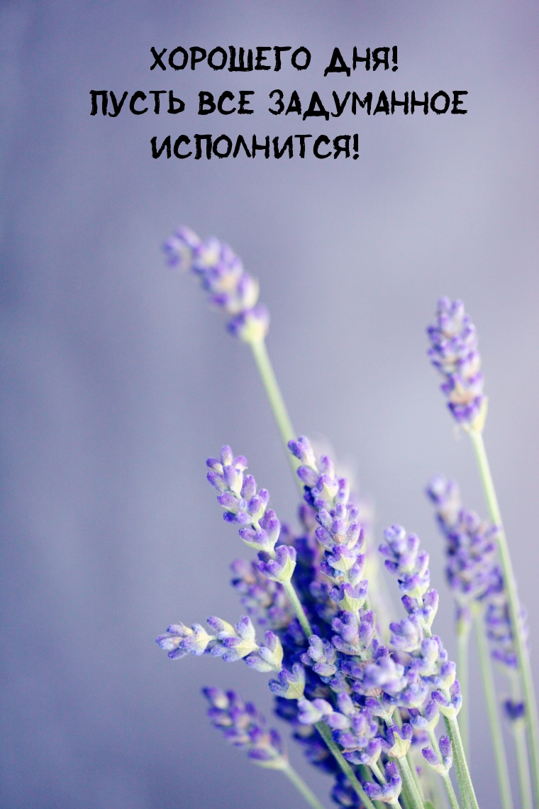 Хорошего дня! Пусть все задуманное исполнится!