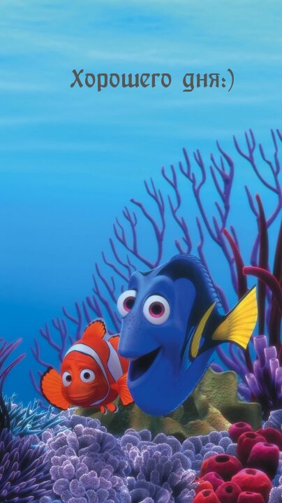 �������� ���:).