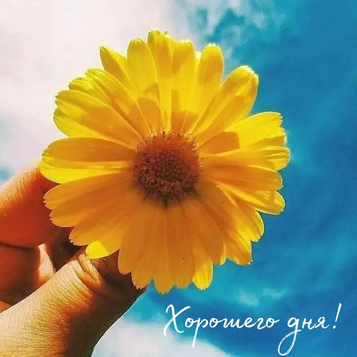 �������� ���!.