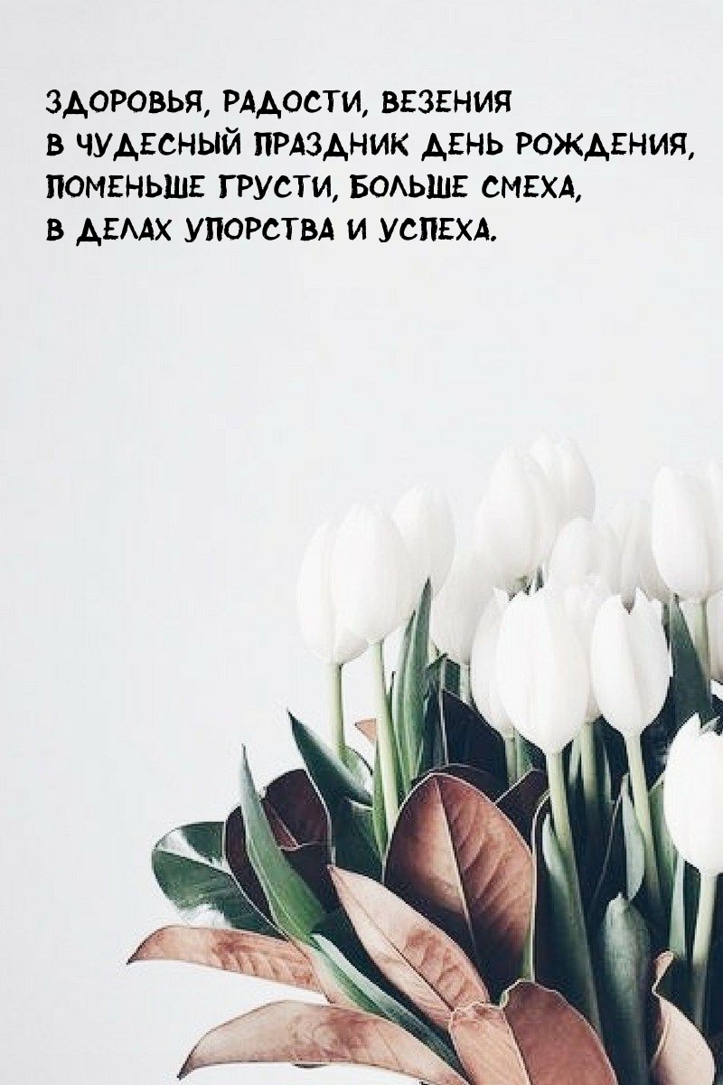 ��������, �������, ������� � �������� �������� ���� ��������.