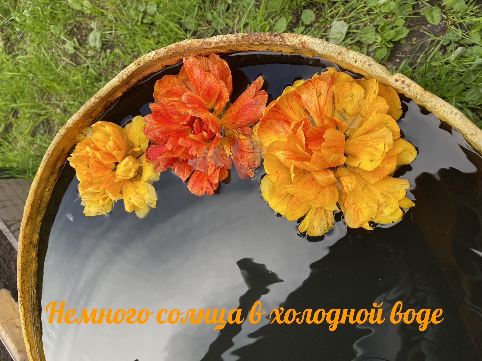 ������� ������ � �������� ����