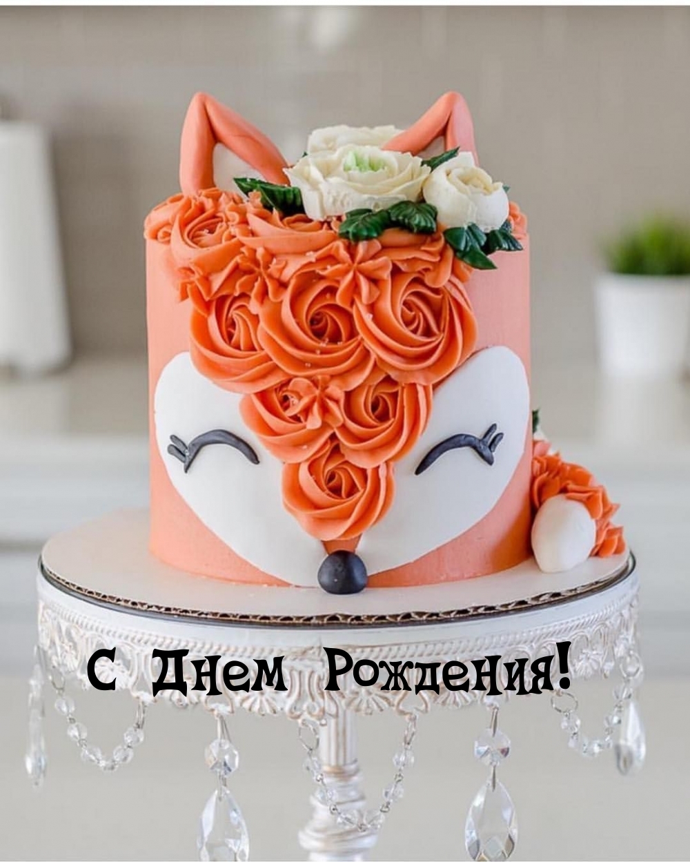 � ���� ��������!.