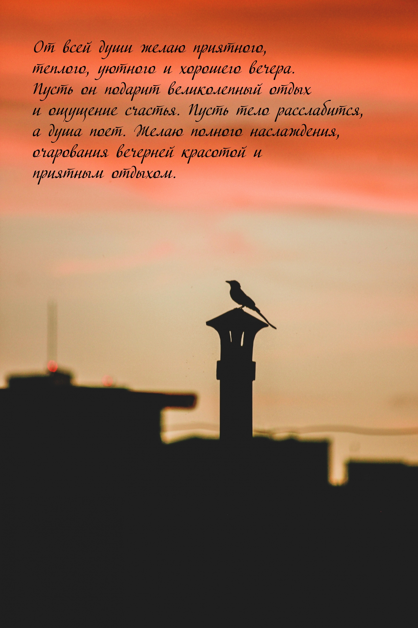 �� ���� ���� ����� ���������, �������, ������� � �������� ������.