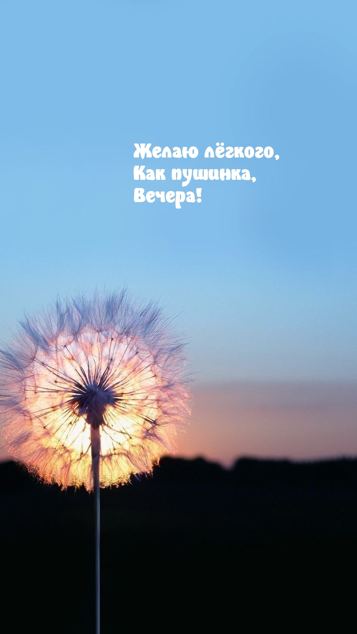 ����� ������, ��� �������, ������!