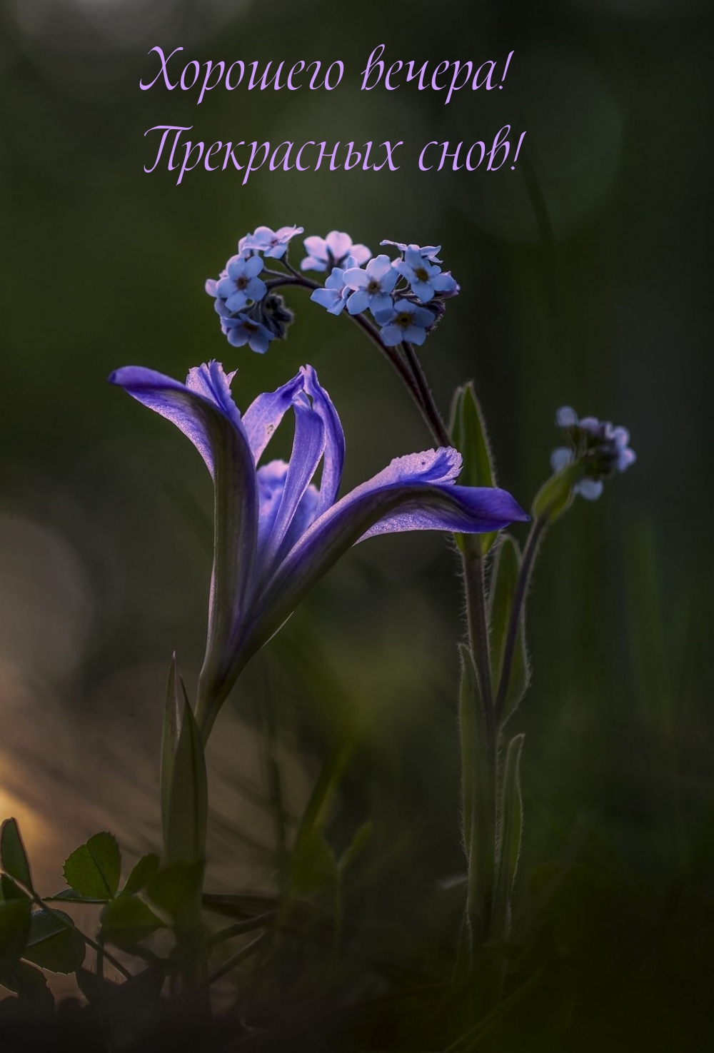 �������� ������! ���������� ����!