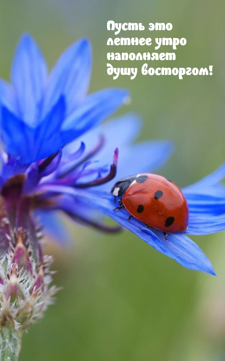 ����� ��� ������ ���� ��������� ���� ���������!.