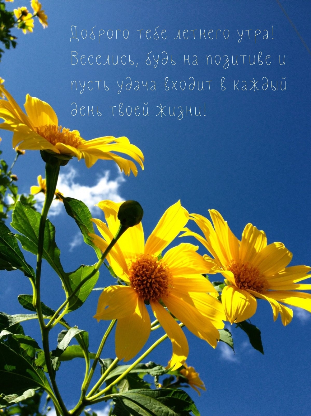 ������� ���� ������� ����! ��������, ���� �� �������� .